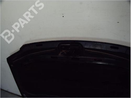 Hood VW TOURAN (1T1, 1T2) 1.9 TDI | BP10419593C1 