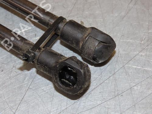 Hood lift support RENAULT SCÉNIC IV (J9_) 1.7 Blue dCi 120 (J9A7, J9A8) | BP29294015C139 