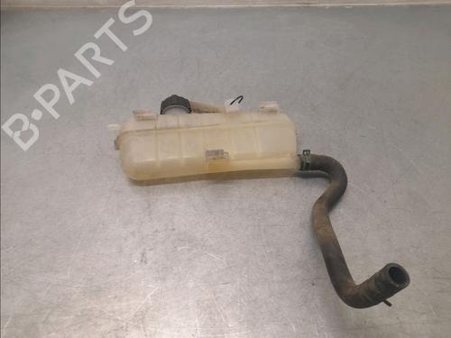 Ekspansjonstank RENAULT ZOE (BFM_) ZOE (88 hp) 30092326