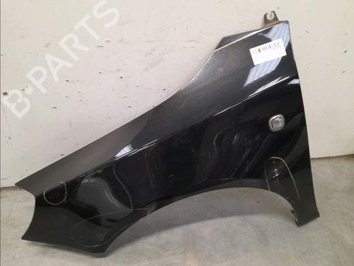 Left front fenders SKODA FABIA II Combi (545) 1.6 TDI | BP22366853C41 