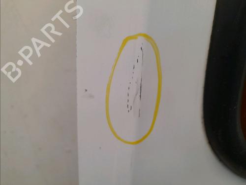 Left tailgate RENAULT KANGOO Express (FC0/1_)  | BP22848245C76 
