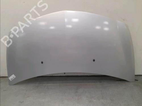 Used Hood RENAULT CLIO III (BR0/1, CR0/1) 1.4 16V (98 hp) 15273332