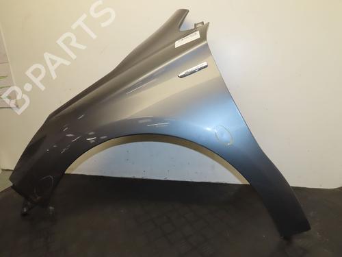 Left front fenders CITROËN C4 II (NC_) 1.6 HDi 110 | BP29516761C41 