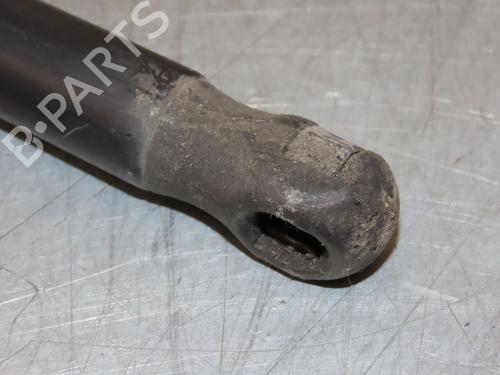 Hood lift support VW NEW BEETLE Convertible (1Y7) 1.9 TDI | BP29294008C139