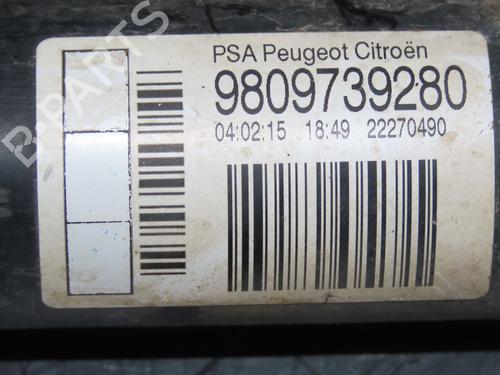 Used Left rear shock absorber CITROËN C4 CACTUS 1.6 BlueHDi 100 (99 hp) 17514102