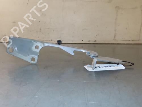 Hinge/Door check strap RENAULT MEGANE III Hatchback (BZ0/1_, B3_) 1.5 dCi (BZ0C) | BP29380712C146 