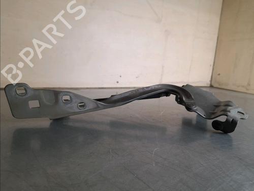 Hinge/Door check strap RENAULT SCÉNIC III (JZ0/1_) 1.5 dCi (JZ02, JZ0R) | BP14857344C146 