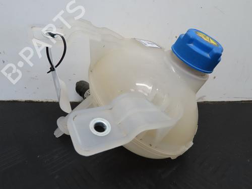 Used Expansion tank FIAT 500L (351_, 352_) 1.4 (199LYB1B) (95 hp) 19114346
