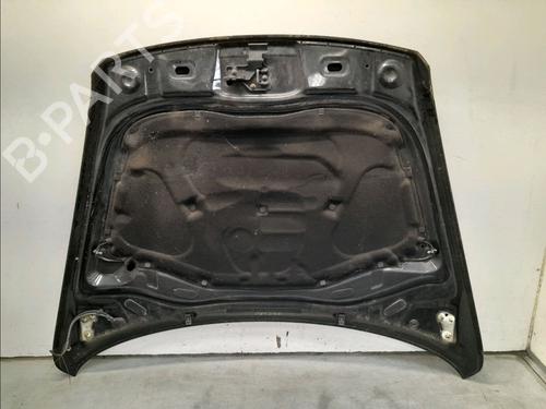 Hood VW TOUAREG (7LA, 7L6, 7L7) 3.0 V6 TDI | BP22366898C1 