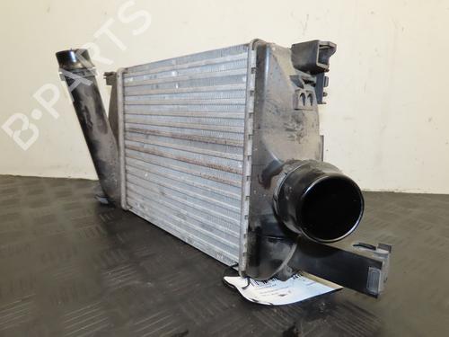 Andre DACIA DUSTER (HM_) 1.0 LPG (HMMT) | BP31272541O1