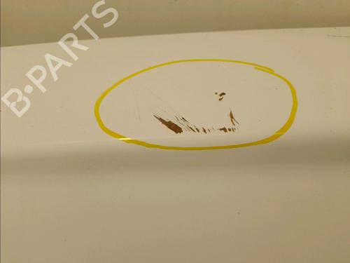 Left tailgate RENAULT KANGOO (KC0/1_) 1.5 dCi | BP16429114C76 