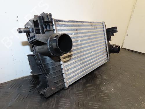 Intercooler OPEL MERIVA B MPV (S10) 1.7 CDTI (75) | BP35887672M30 - Image 5