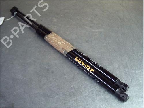 Used Tailgate lift support RENAULT SCÉNIC II (JM0/1_) 1.9 dCi (JM0G, JM12, JM1G, JM2C) (120 hp) 14857634