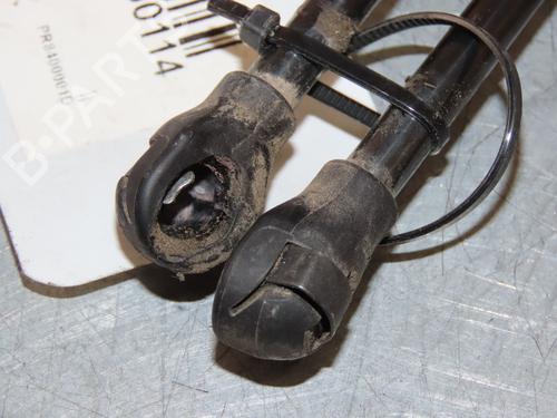 Tailgate lift support RENAULT CLIO V (B7_) 1.6 E-TECH 140 (B7MU) | BP29294040C138 