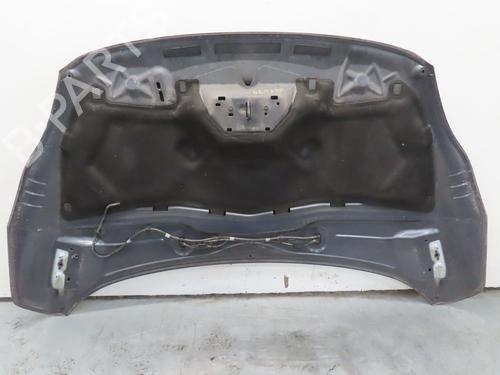 Hood FORD C-MAX II (DXA/CB7, DXA/CEU) 2.0 TDCi | BP19528683C1 