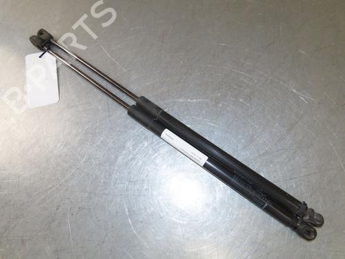 Tailgate lift support SUZUKI SWIFT V (AZ) 1.2 Hybrid (Mild Hybrid) (A2L412) | BP29294050C138