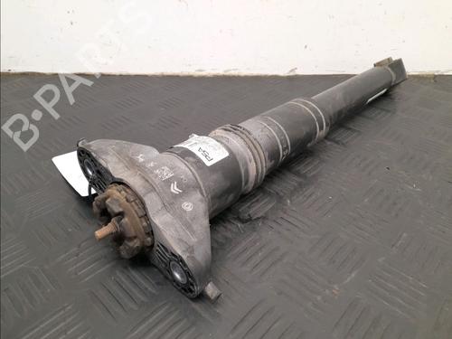 Right rear shock absorber PEUGEOT 208 II (UB_, UP_, UW_, UJ_) 1.2 PureTech 75 | BP22366403M19 