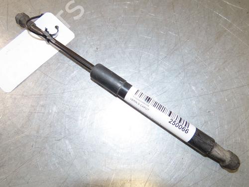 Hood lift support RENAULT SCÉNIC IV (J9_) 1.2 TCe 130 | BP29294013C139 