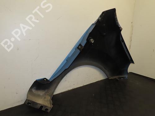 Left front fenders RENAULT TWINGO II (CN0_) 1.5 dCi 90 | BP29516764C41 