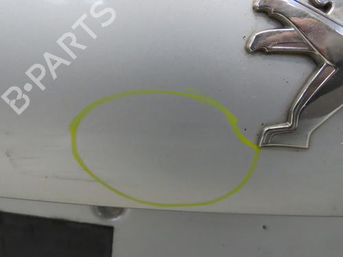 Tailgate PEUGEOT 208 I (CA_, CC_) 1.2 VTI 82 | BP22367604C6
