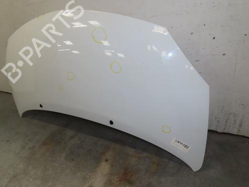 Hood RENAULT TWINGO II (CN0_) 1.2 16V (CN04, CN0B) | BP29985805C1