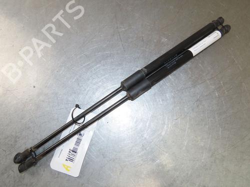 Tailgate lift support CITROËN C3 III (SX) 1.2 THP 110 (SXHNPS, SXHNZT, SXHNZ6) | BP29294037C138 