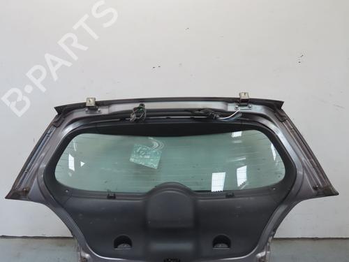 Tailgate RENAULT MEGANE II (BM0/1_, CM0/1_) 1.6 16V (BM0C, CM0C) | BP18859220C6 