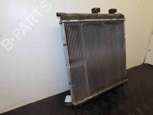 Water radiator PEUGEOT 207 (WA_, WC_) 1.4 | BP30606326M31