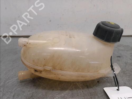 Used Expansion tank RENAULT CLIO V (B7_) 1.0 TCe 90 (B7MT) (91 hp) 15273186