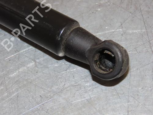 Hood lift support RENAULT SCÉNIC IV (J9_) 1.2 TCe 130 | BP29294005C139 