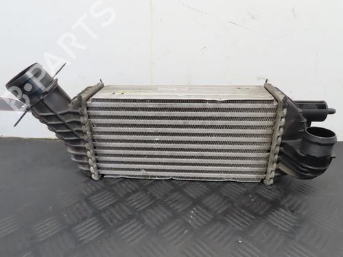 Intercooler CITROËN DS5 2.0 HDi 165 | BP22366046M30 - Image 2