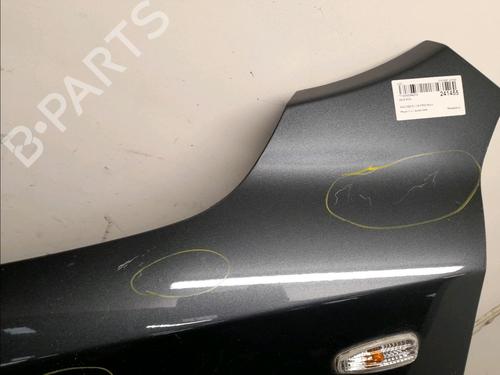 Left front fenders KIA CEE'D Hatchback (ED) 1.6 CRDi 90 | BP22381730C41
