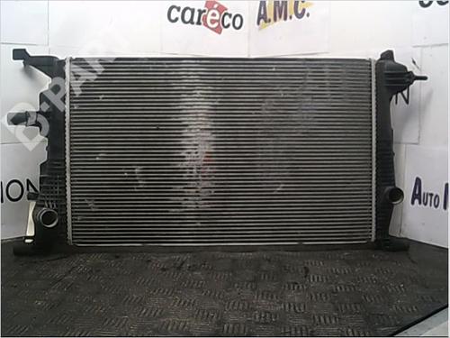 Used Water radiator RENAULT GRAND SCÉNIC III (JZ0/1_) 1.2 TCe (JZ16) (132 hp) 9405969