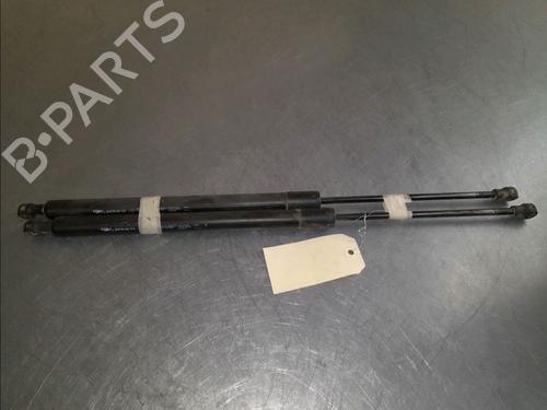 Tailgate lift support RENAULT SCÉNIC III (JZ0/1_) 1.5 dCi (JZ02, JZ0R) | BP14857718C138