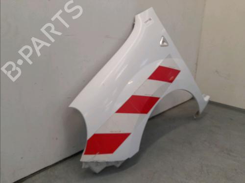 Left front fenders RENAULT KANGOO Express (FW0/1_) 1.5 dCi 70 (FW0A, KW0V) | BP16039690C41 