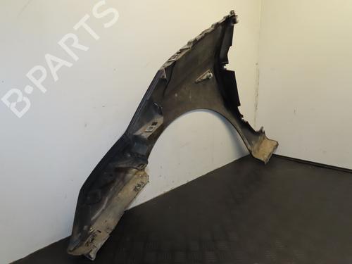 Right front fenders RENAULT ESPACE IV (JK0/1_) 2.0 dCi (JK03, JK04, JK1C, JK1G, JK1J, JK1K) | BP29516755C42 