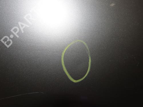 Tailgate RENAULT CLIO III (BR0/1, CR0/1) 1.5 dCi (C/BR0G, C/BR1G) | BP30366575C6