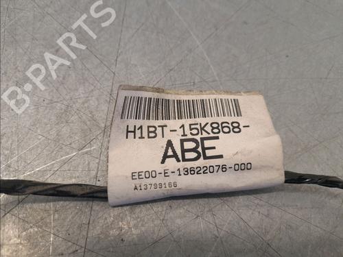 Elektronisk modul FORD FIESTA VII (HJ, HF) 1.0 EcoBoost Active (101 hp) 30138811