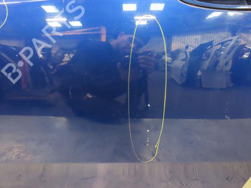 Left front door FIAT GRANDE PUNTO (199_) 1.4 (199AXB11, 199AXB1A, 199BXB1A, 199AXL1A) | BP22367085C2 