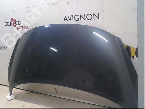 Used Hood PEUGEOT 207 (WA_, WC_) 1.6 HDi (90 hp) 9405231