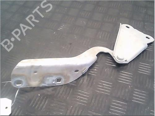 Dørhængsel/Dørbegrænser RENAULT TWINGO II (CN0_) 1.5 dCi (CN0E) (64 hp) 14857319