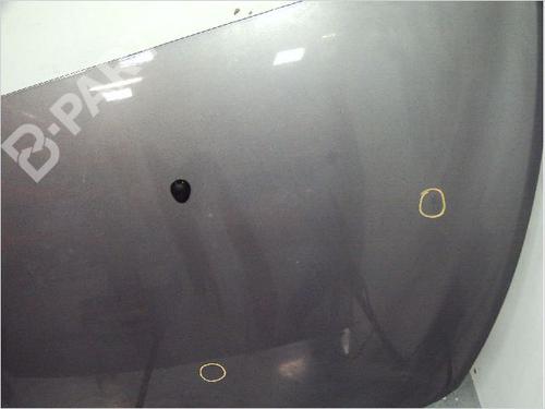 Hood RENAULT CLIO III (BR0/1, CR0/1) 1.5 dCi (BR17, CR17) | BP9410575C1 