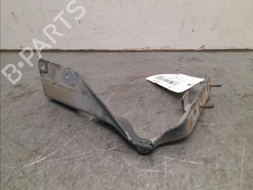 Hinge/Door check strap CITROËN C3 I (FC_, FN_) 1.4 HDi | BP16130369C146 