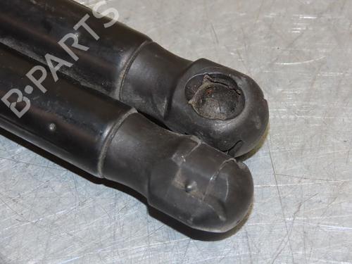 Used Tailgate lift support RENAULT MEGANE II (BM0/1_, CM0/1_) 1.9 dCi (BM0G, CM0G) (120 hp) 16832567