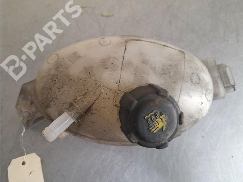 Expansion tank RENAULT MASTER III Platform/Chassis (EV, HV, UV) 2.3 dCi 135 FWD (EV0N, HV0N, UV0N, EV08, HV08, UV08) | BP11952339C120 