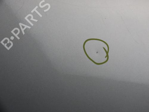 Right front door RENAULT MEGANE III Hatchback (BZ0/1_, B3_) 1.5 dCi | BP17181214C3 