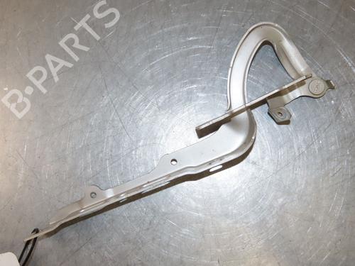 Hinge/Door check strap PEUGEOT 208 I (CA_, CC_) 1.6 HDi | BP29380721C146 