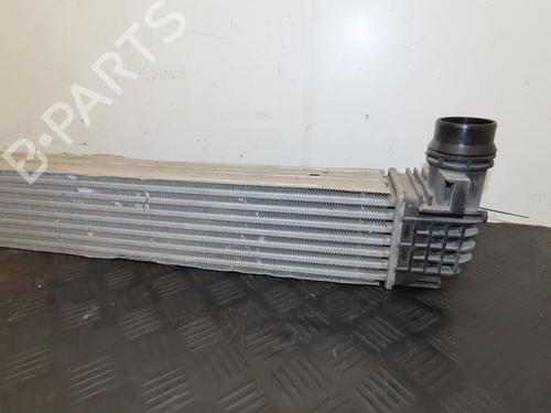 Used Other RENAULT MEGANE III Hatchback (BZ0/1_, B3_) 1.6 dCi (BZ00, BZ12, BZ13) (130 hp) 28966712