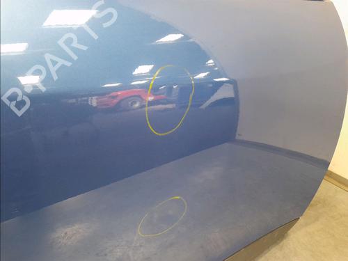 Right front door RENAULT MEGANE III Hatchback (BZ0/1_, B3_) 1.9 dCi (BZ0N, BZ0J) | BP13030540C3 