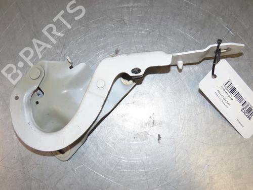 Hinge/Door check strap RENAULT ZOE (BFM_) ZOE | BP28082516C146 